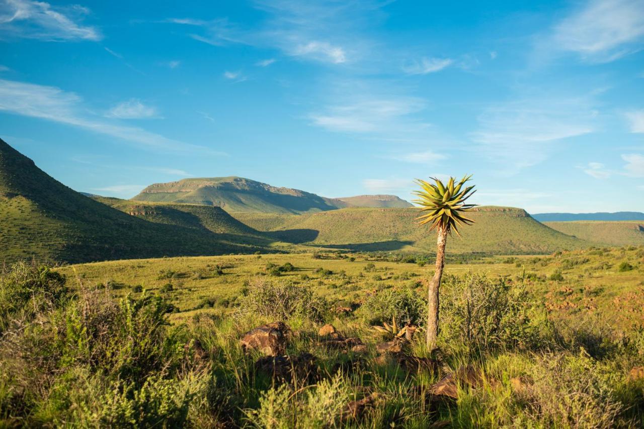 Glen Harry Game Reserve Graaff-Reinet Εξωτερικό φωτογραφία