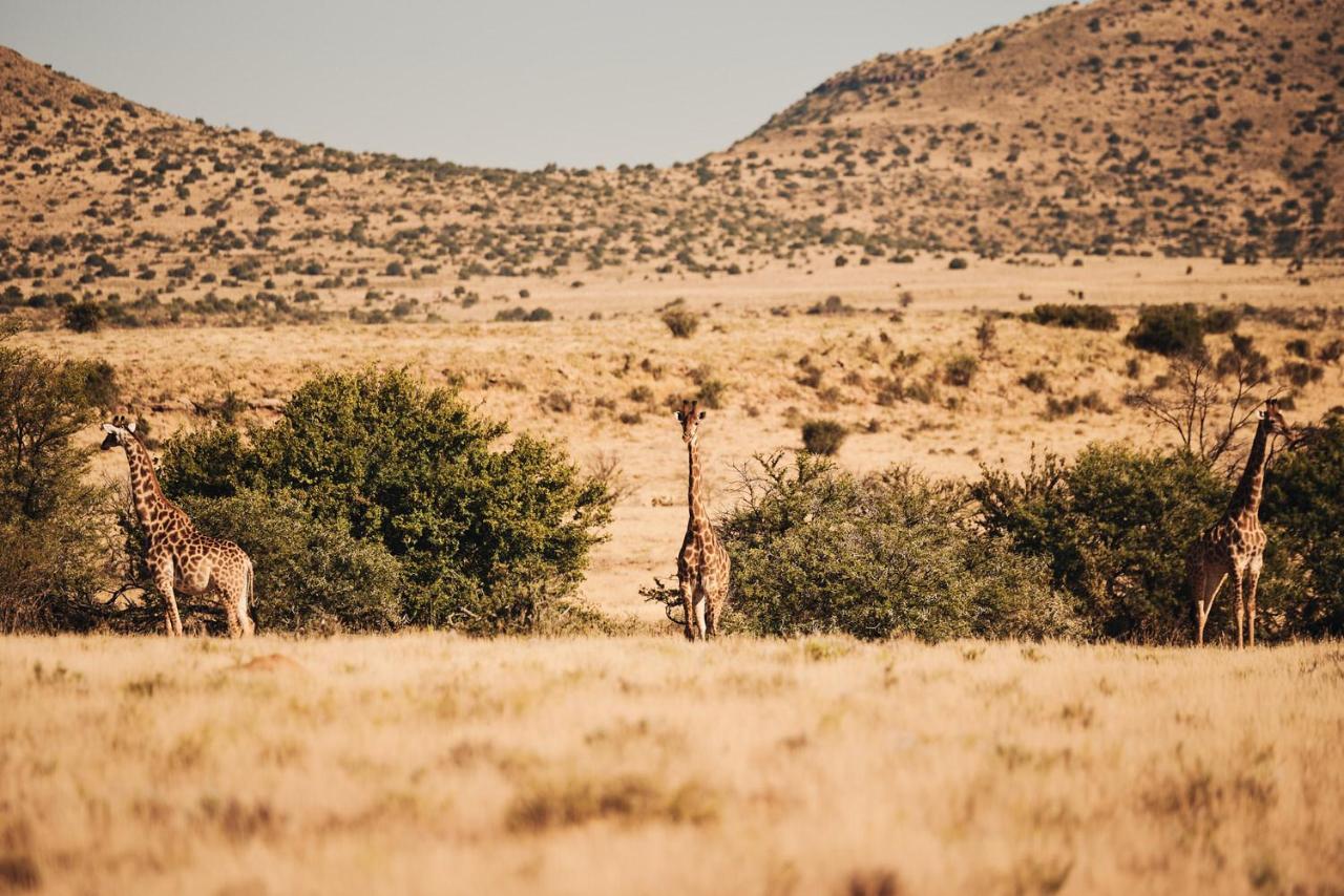 Glen Harry Game Reserve Graaff-Reinet Εξωτερικό φωτογραφία